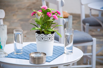 Table at a cafe with flowers and water  - 114037408