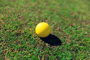 close up of yellow golf ball on green grass