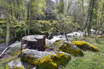 Rio Iruelas. Ávila