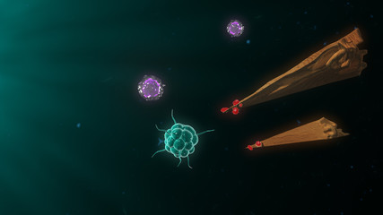 Bacteria attacking the immune system