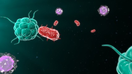 Bacteria attacking the immune system