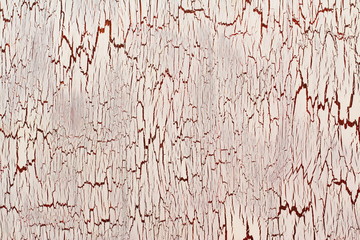 Wooden panel with cracked paint, white and brown craquelure