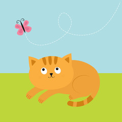 Cute red orange cat lying on grass and looking at flying pink butterfly. Dash line track in the sky. Mustache whisker. Funny cartoon character. Flat design.