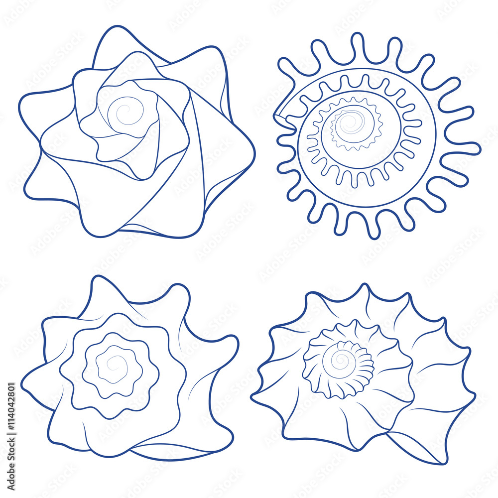 Aufkleber vector set of seashells. isolated objects on white.
