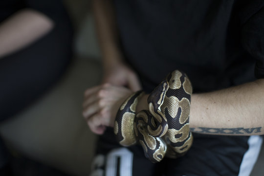 Young Man Holding Pet Snake At Home