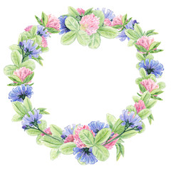 Watercolor wreath with clovers and chicory. Summer flowers for you beautiful design.