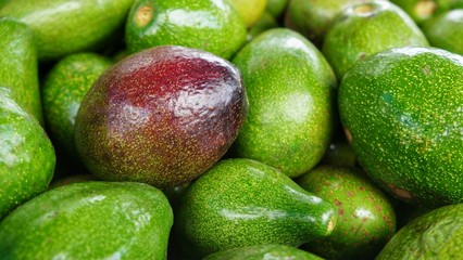 Avocados Bunch of fruits, ripe avocado one red fruit in bunch of green fruits