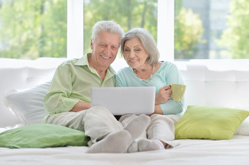 happy senior couple with laptop