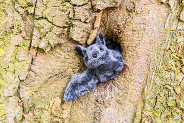 eine Plüsch Fledermaus schaut aus einem Baumloch