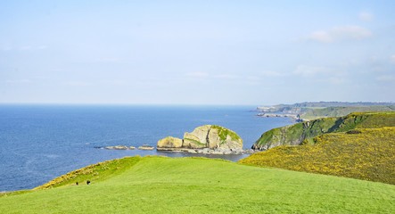 Fototapeta na wymiar Paisaje de la costa asturiana, Asturias, España