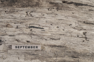 cube calendar for september on wooden background with copy space