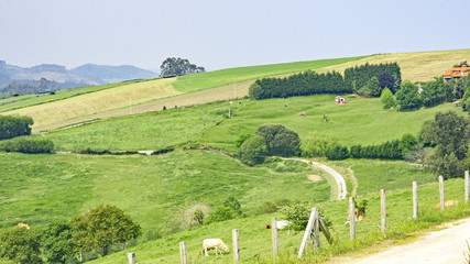 Paisaje de Cantabria, España