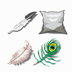 Three different feathers and white pillow