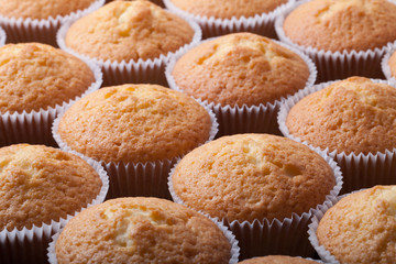 Fresh cupcake desert before decoration. Selective focus. Shallow
