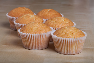 Fresh cupcake desert before decoration. Selective focus. Shallow