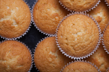 Fresh cupcake desert before decoration. Selective focus. Shallow