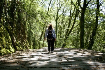 Fragas do Eume, A Coruña, Galicia, España