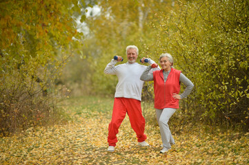 Naklejka na ściany i meble fit senior couple exercising