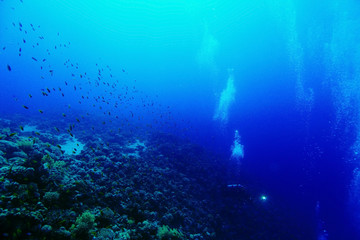 Fototapeta na wymiar Texture sea water underwater