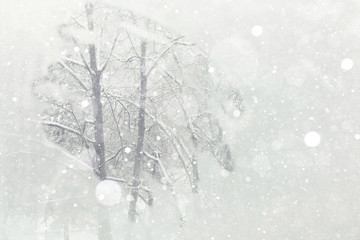 frozen winter window overlooking the woods