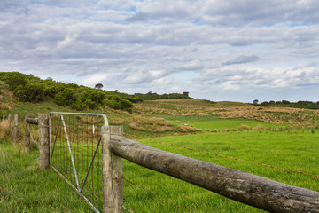 Fototapeta na wymiar Fence in open Field, Cape Otway, VIC Australia