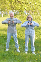 fit senior couple exercising