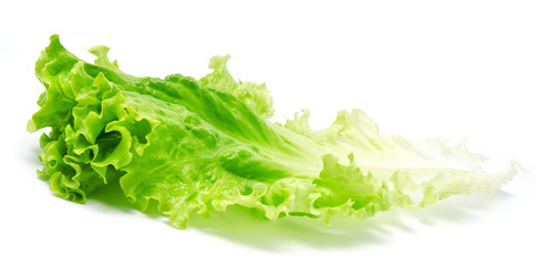 Fresh lettuce leaves isolated on a white