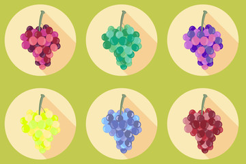 Grapes icon. Icons isolated on white background. Bunches of grapes. Vector illustration.