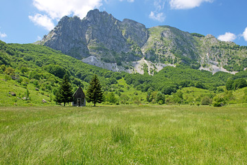 Prato verde in montagna