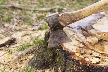 ax stuck in stump