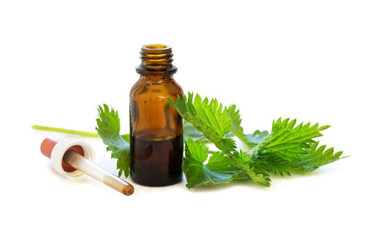 nettle tincture in a small bottle and fresh leaves on white wood