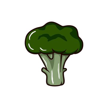 Broccoli vector