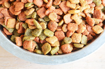 dog instant dry food in stainless bowl