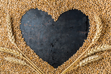 Fototapety  Grey metal heart from seeds of ripe golden wheat