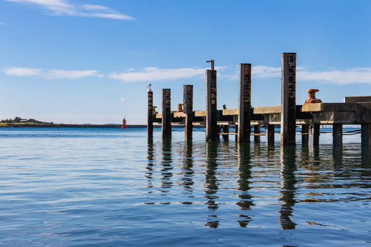 Pelican on a Pier in Harbor, Newcastle, NSW Australia
