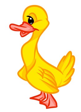 Yellow duckling cartoon illustration isolated image animal character 
