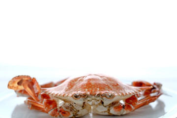 seafood of Grilled on wooden table at the beach