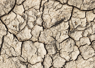 Cracked soil texture