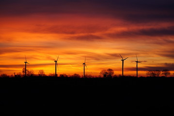Fototapeta na wymiar Windräder zum Sonnenaufgang