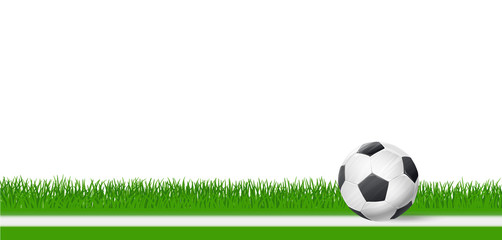 soccer football ball on green grass over white background. vecto