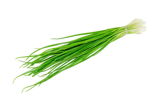 Green leek (young onion) stems tied and isolated on a white background.