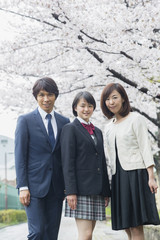 桜の下の家族