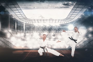 Fighter performing karate stance