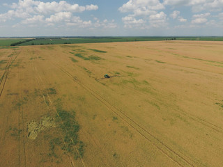 Obraz premium Adding herbicide tractor on the field of ripe wheat. View from above.