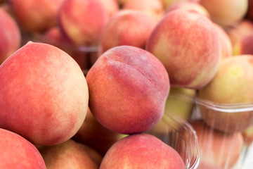 New  peach for sale in boxes at farmers market