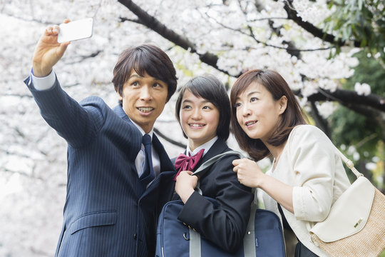 桜の下で写真を撮る家族