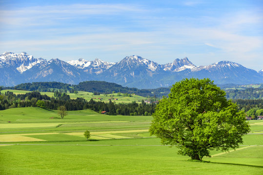 Ländliche Natur am bayrischen Alpenrand