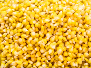 sweet corn vegatable for buffet