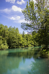 Fototapeta na wymiar Beautiful nature and green river