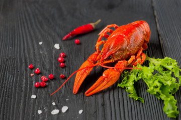 Red boiled clayfish, macro close up.